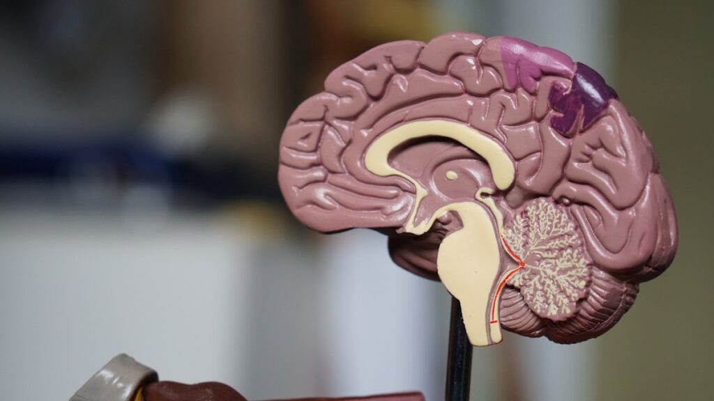Fisioterapia Negada: Quantas Sessões Seu Plano É Obrigado a Cobrir