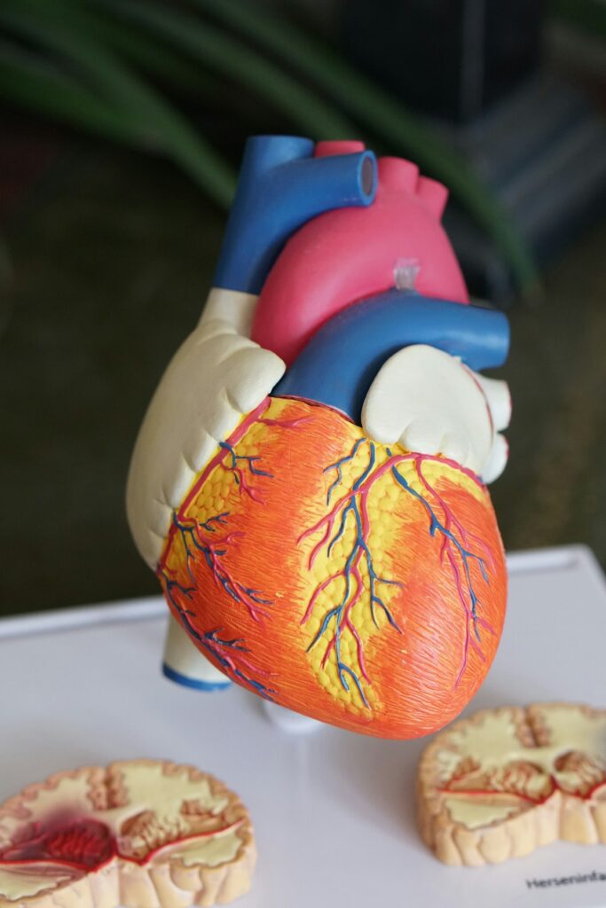 Negativa de Transplante: O Que Fazer Quando Cada Hora É Uma Vida
